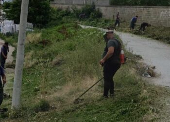 Zelenilo Smederevo: Uređenje površina doprinosi lepšem izgledu grada