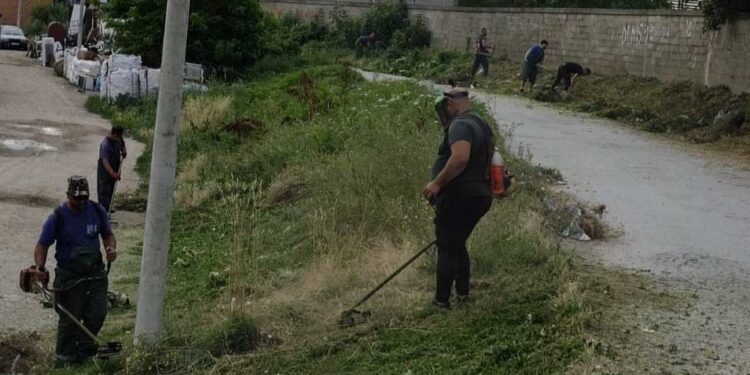 Zelenilo Smederevo: Uređenje površina doprinosi lepšem izgledu grada