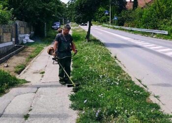 Zelenilo Smederevo: Održavanje javnih zelenih površina u Lipama i gradu