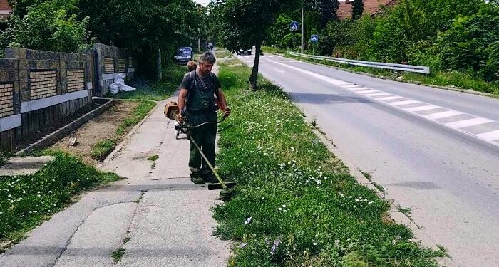 Zelenilo Smederevo: Održavanje javnih zelenih površina u Lipama i gradu
