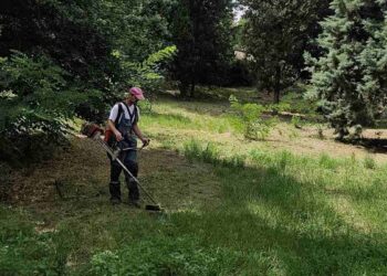 Zelenilo Smederevo: Pionirski park dobija uredniji izgled redovnim održavanjem