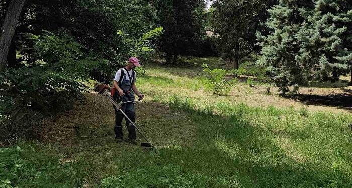 Zelenilo Smederevo: Pionirski park dobija uredniji izgled redovnim održavanjem