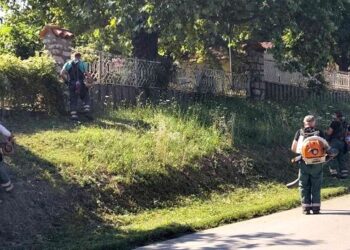Zelenilo Smederevo: Redovno održavanje javnih površina na više lokacija u Smederevu