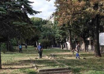 Zelenilo Smederevo: Uređenje parka i sportskih terena na Carini
