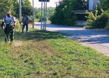 Zelenilo Smederevo: Radovi u Godominu