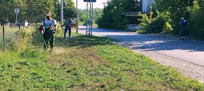 Zelenilo Smederevo: Radovi u Godominu