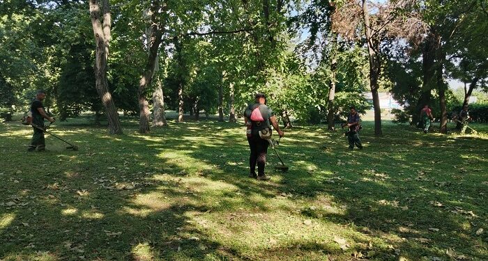 Zelenilo Smederevo redovno uređuje park „Akvarijus“