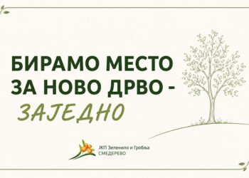 Zelenilo Smederevo: Biramo mesto za novo drvo – zajedno