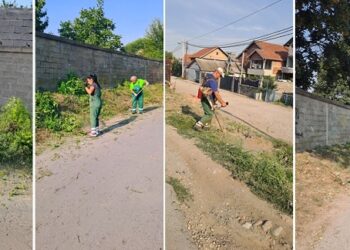 Zelenilo Smederevo uređuje ulice naselja Krivak