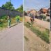 Zelenilo Smederevo uređuje ulice naselja Krivak