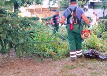 Zelenilo: Petrijevska ulica i Vinski grad obuhvaćeni redovnim košenjem zelenih površina