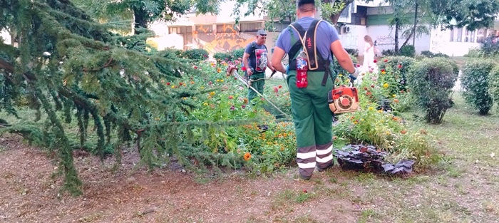 Zelenilo: Petrijevska ulica i Vinski grad obuhvaćeni redovnim košenjem zelenih površina