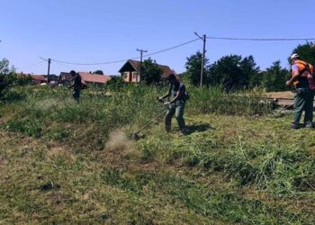 Zelenilo: Košenje zelenih površina od Radinca ka glavnoj kapiji kompanije HBIS
