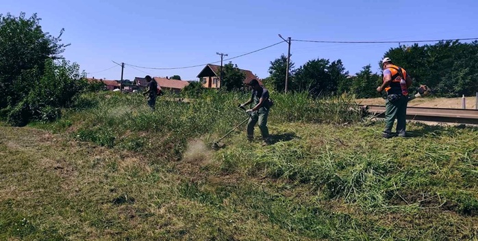 Zelenilo: Košenje zelenih površina od Radinca ka glavnoj kapiji kompanije HBIS