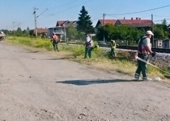 Zelenilo: Uređeni prilazi gradu i Vinski grad u fokusu letnjih radova