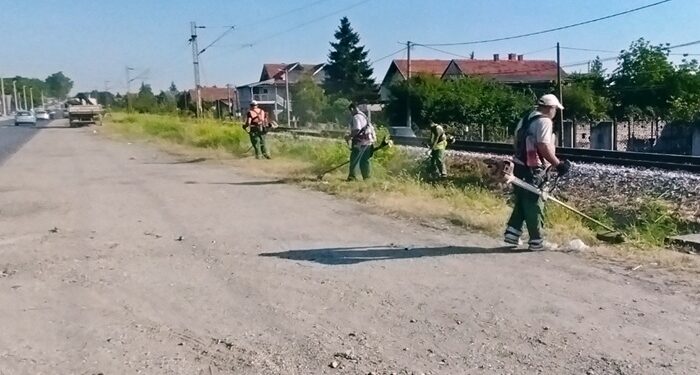 Zelenilo: Uređeni prilazi gradu i Vinski grad u fokusu letnjih radova
