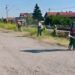Zelenilo: Uređeni prilazi gradu i Vinski grad u fokusu letnjih radova