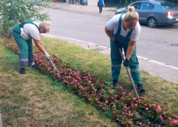 Zelenilo Smederevo: Košenje, okopavanje i orezivanje javnih površina na više lokacija