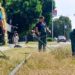 Zelenilo Smederevo: Uređuju se potezi uz saobraćajnice i Veslački