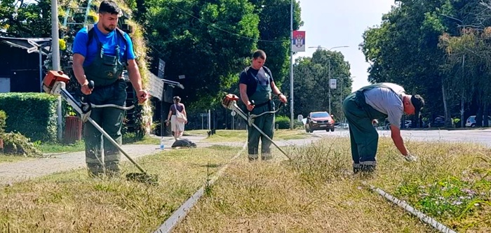 Zelenilo Smederevo: Uređuju se potezi uz saobraćajnice i Veslački