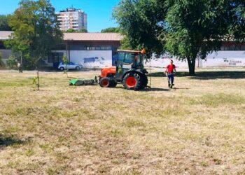 Zelenilo Smederevo: Kosi se uz Jezavu, uređuju park i živa ograda
