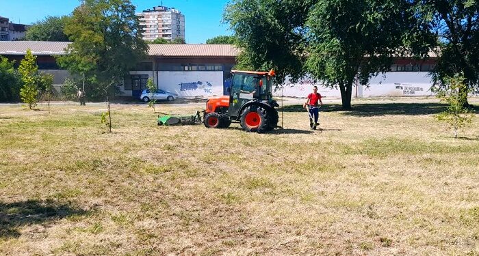 Zelenilo Smederevo: Kosi se uz Jezavu, uređuju park i živa ograda