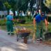 Zelenilo Smederevo čistilo javne površine na više lokacija