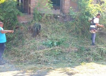 Zelenilo Smederevo: Uređenje zelenih površina i obnova gradskog mobilijara