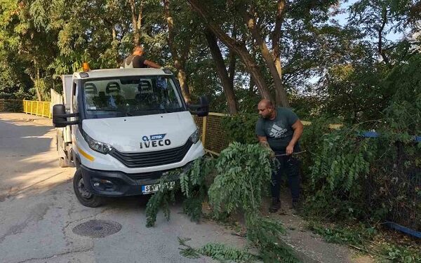 Zelenilo Smederevo: Uređuju se zelene površine i oslobađaju trotoari i kolovoz