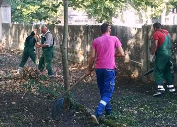 Zelenilo Smederevo: Uređuju se zelene površine u Skobalju, sređuje se i dvorište osnovne škole