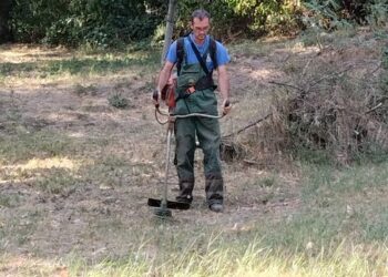 Zelenilo Smederevo: Uređene zelene površine u Pionirskom parku i duž dve gradske ulice