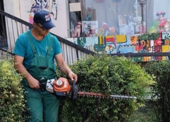Zelenilo Smederevo: Uređene javne površine, živice i fontane na više lokacija u gradu, sprema se i rasad