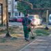 Zelenilo Smederevo: Uređenje zelenih i cvetnih površina na više lokacija u gradu