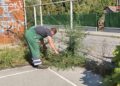 Zelenilo Smederevo: Uređene krošnje i zelene površine na više lokacija u Smederevu