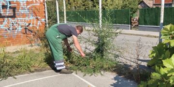Zelenilo Smederevo: Uređene krošnje i zelene površine na više lokacija u Smederevu
