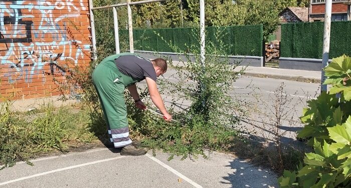 Zelenilo Smederevo: Uređene krošnje i zelene površine na više lokacija u Smederevu