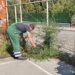 Zelenilo Smederevo: Uređene krošnje i zelene površine na više lokacija u Smederevu