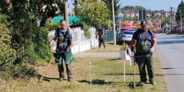 Zelenilo Smederevo: Uređene zelene površine duž Petrijevske ulice i u parku na Carini