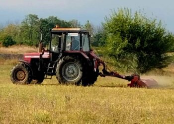 Zelenilo Smederevo: Intenzivni radovi na uređenju parkova i naselja