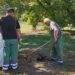 Zelenilo Smederevo: Uređeni travnjaci u parku na Carini i Akvariusu