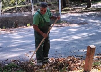 Zelenilo Smederevo: Uređene površine kod zgrade Monopola i u Ulici Slobode