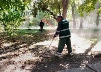 Zelenilo Smederevo: Grabuljanje postaje sve prisutniji deo poslova na održavanju javnih površina