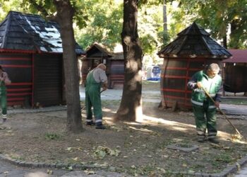 Zelenilo Smederevo: Sakupljanje lišća na Vinogradskom gradu i Glavnom gradskom trgu