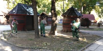 Zelenilo Smederevo: Sakupljanje lišća na Vinogradskom gradu i Glavnom gradskom trgu