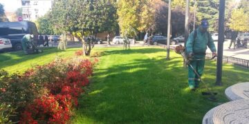 Zelenilo i groblja uredilo zelene površine ispred Gradske uprave i na više lokacija u Smederevu