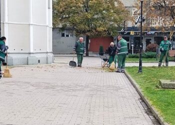 Zelenilo Smederevo: Očišćen Glavni gradski trg
