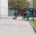 Zelenilo Smederevo: Očišćen Glavni gradski trg